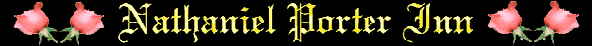NPIBanner